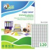 Etichette adesive in carta argento 22x16mm, 120 etichette per foglio SL4-2216 Contenuto: 12.000 Etichette / 100 Pagina